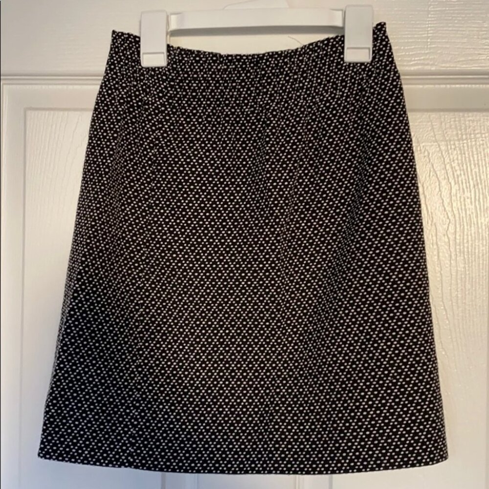 J. Crew Skirt
